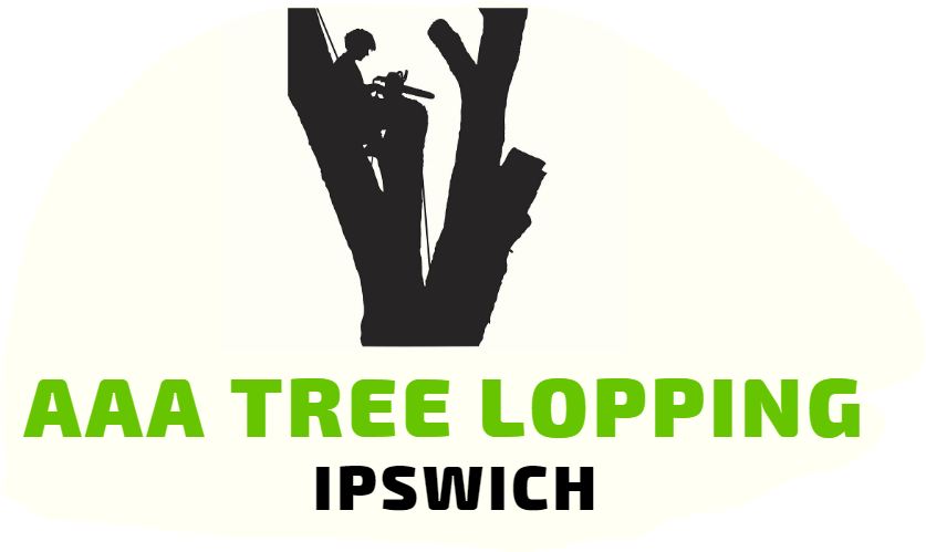 AAA Tree Lopping Ipswich - Tree Removal